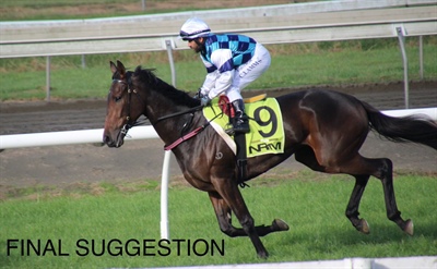 LOGAN RACING STABLE SATURDAY PREVIEW  ON  ELLERSLIE